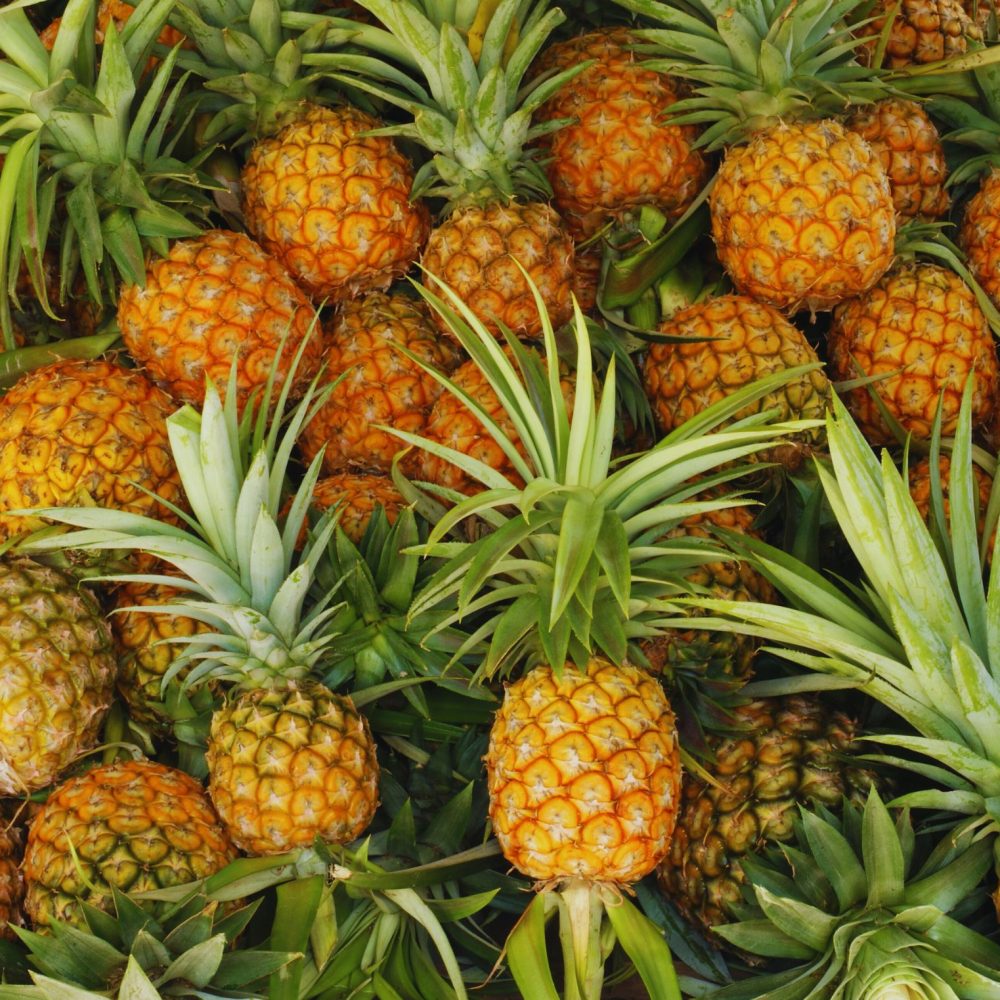 piñas