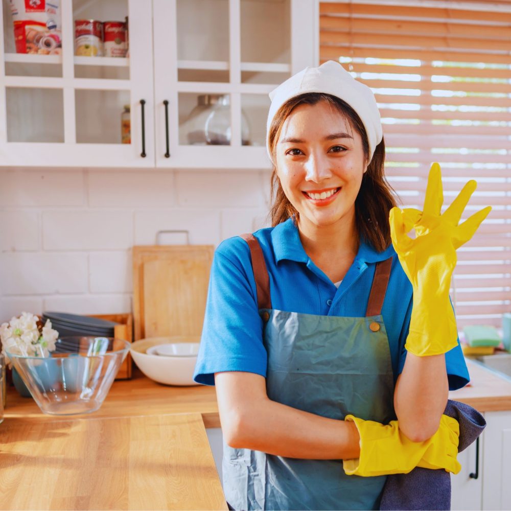trabajo domestico