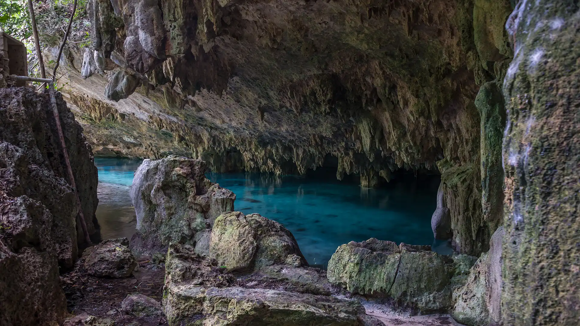 Pet Cemetery: A Prehistoric Cemetery within Sac Actún